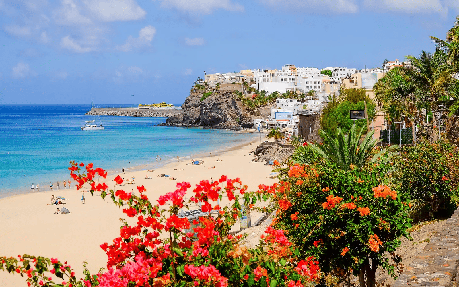 Playa de Fuerteventura en Canarias, entorno natural vinculado a sostenibilidad energética
